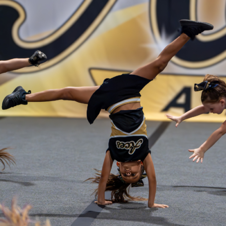 Untitled design Untitled design